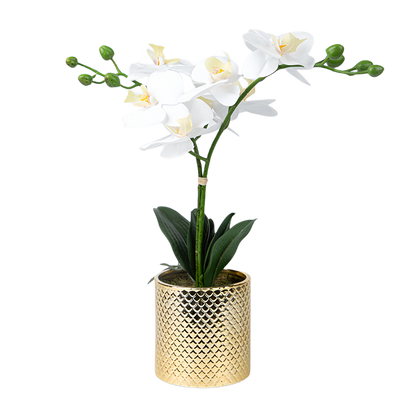 Artificial Orchid Flowers Potted in Ceramic Pot, White Faux Phalaenopsis Orchids