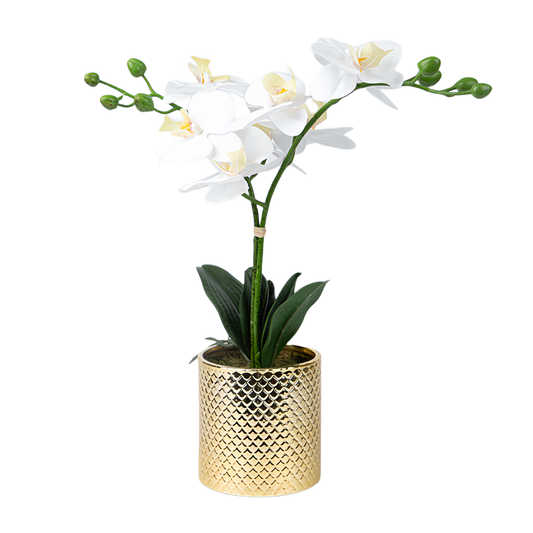 Artificial Orchid Flowers Potted in Ceramic Pot, White Faux Phalaenopsis Orchids