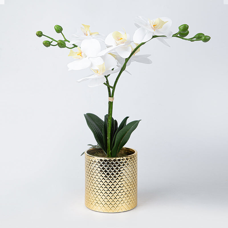 Artificial Orchid Flowers Potted in Ceramic Pot, White Faux Phalaenopsis Orchids