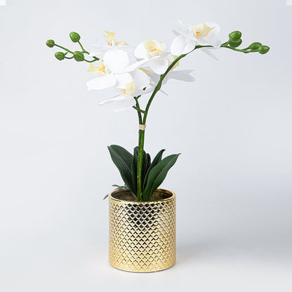 Artificial Orchid Flowers Potted in Ceramic Pot, White Faux Phalaenopsis Orchids