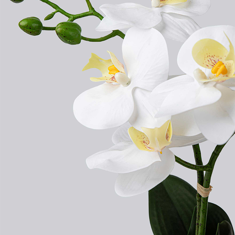 Artificial Orchid Flowers Potted in Ceramic Pot, White Faux Phalaenopsis Orchids