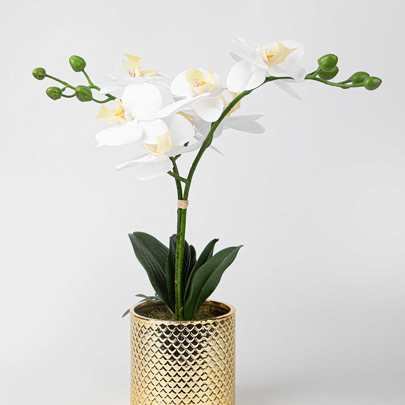 Artificial Orchid Flowers Potted in Ceramic Pot, White Faux Phalaenopsis Orchids